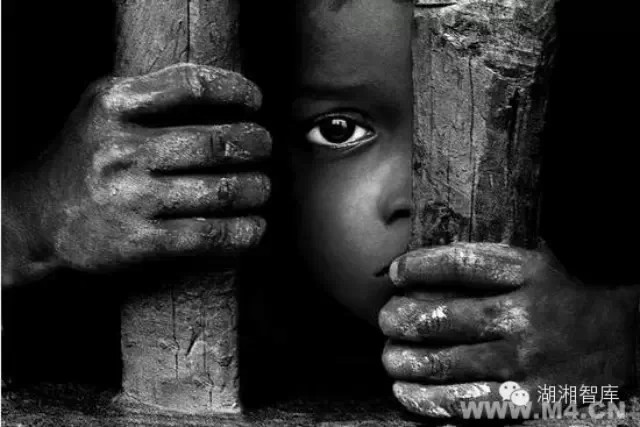 张欣等:反贫困治理结(图1) 张欣等:反贫困治理结(图1)