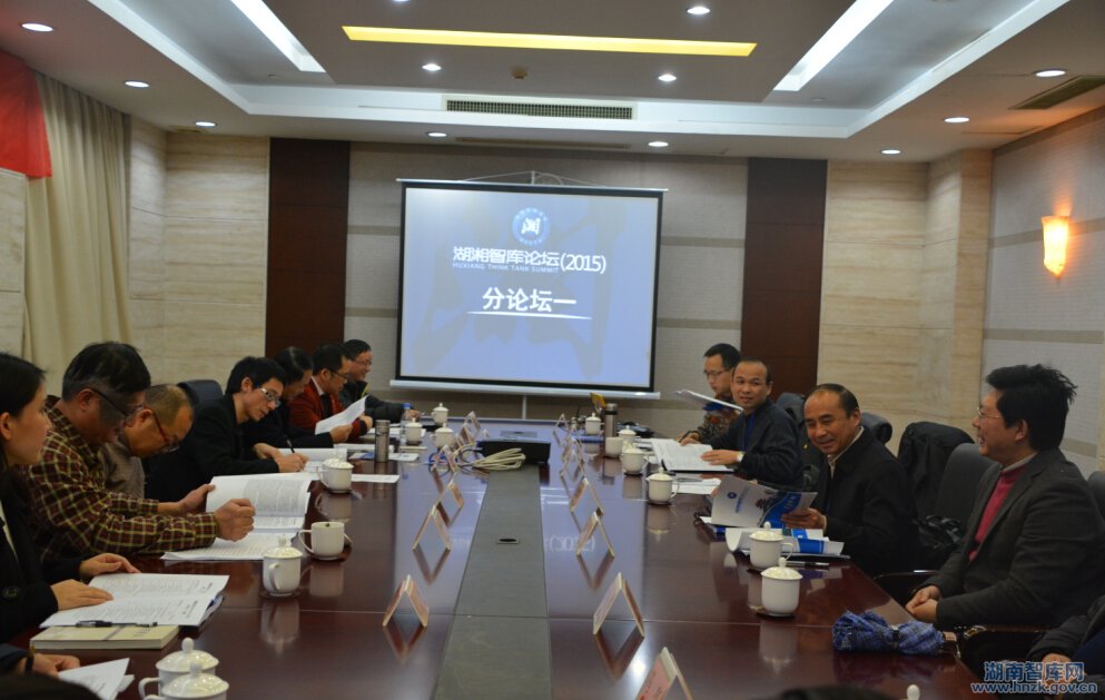 湖湘智库论坛分论坛（一）综述(图1)