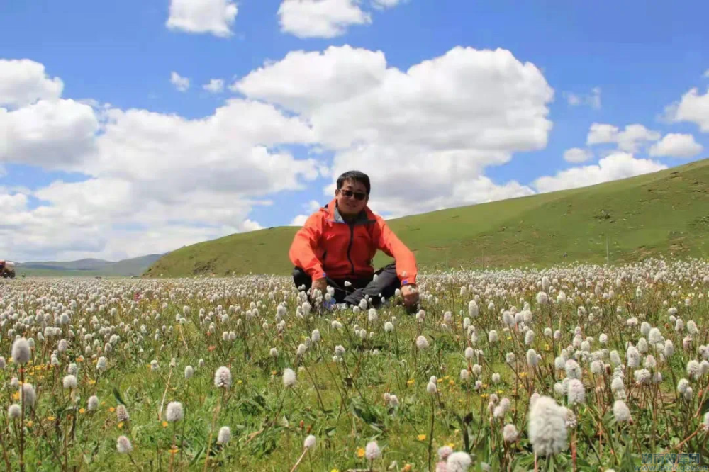 张志君:积跬步以至千里,积小流以成江海(图6) 66666.png