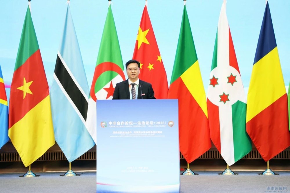 廖永安校长在中非合作论坛-法治论坛的主旨报告摘编(图1) 32123.jpg